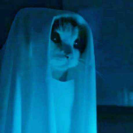 GHOST CAT! GHOST CAT!